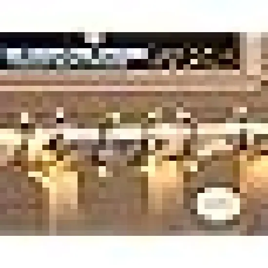 Classroom Bedroom Holiday Wedding Party Garland Birthday Festival {4}