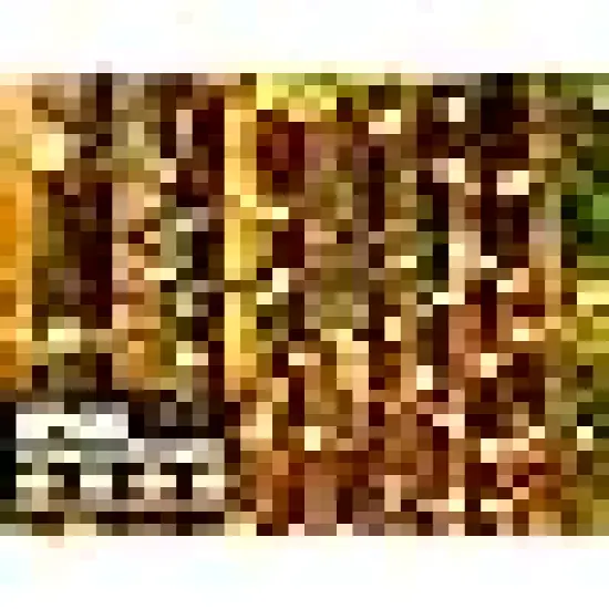 Brightown Solar String Lights Outdoor {4}