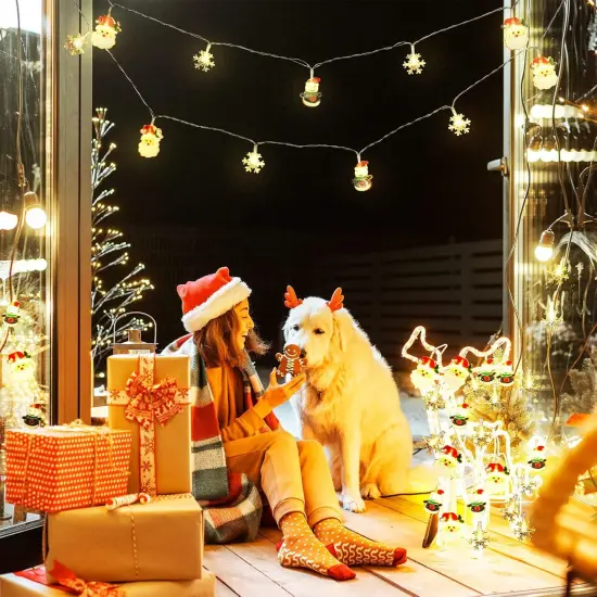 2 Pcs Christmas Lights Decorations {4}