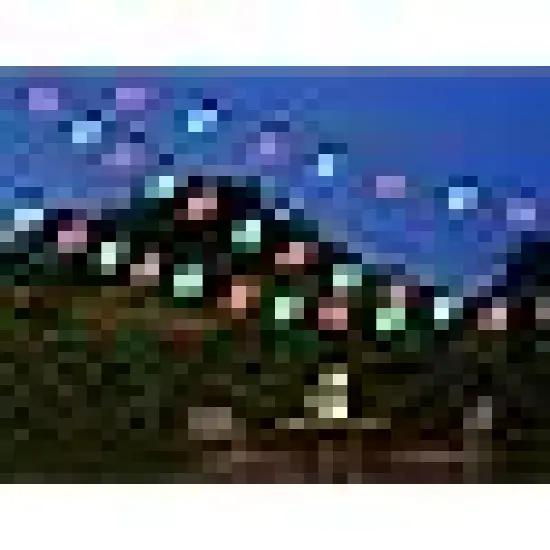 Connectable Outside Hanging Lights for Backyard Yard Gazebo Porch Party {1}