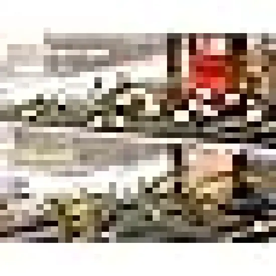 Berry String Lights Plugin, Xmas Tree Lights Green Wire for Indoor {4}