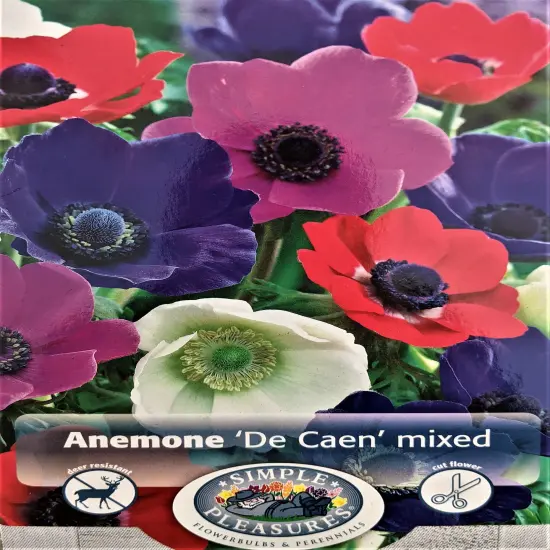 De Caen Anemone Windflower Mix - 15 Bulbs - Very Hardy! - 8/+cm Bulbs {1}