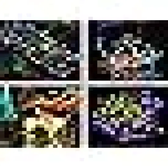 Indoor Outdoor Xmas Tree Wedding Party {4}