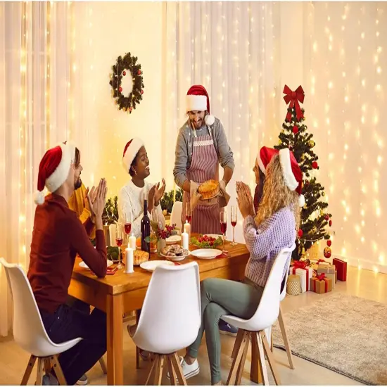 Hanging Light with Remote Timer Fairy Curtain Light {1}