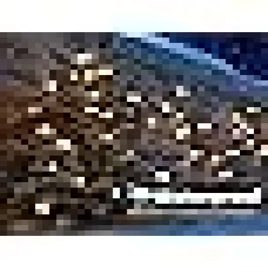 Berry String Lights Plugin, Xmas Tree Lights Green Wire for Indoor {1}