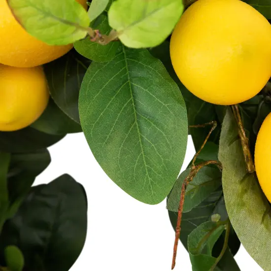 Northlight Lemons and Assorted Foliage Spring Wreath - 20" - Yellow {7}