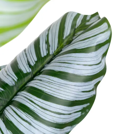 Northlight Potted Two Tone Green Calathea Artificial Floor Plant - 4' {6}