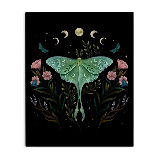 Stupell Industries Luna Moth with Florals Canvas Design By Episodic Drawings {1}