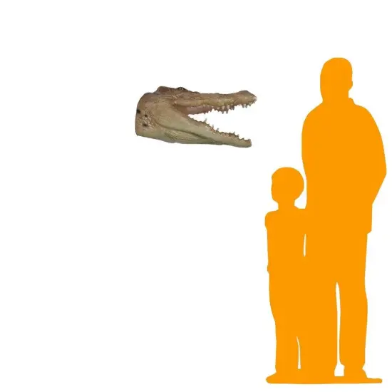 Crocodile Head Wall Decor Statue {2}
