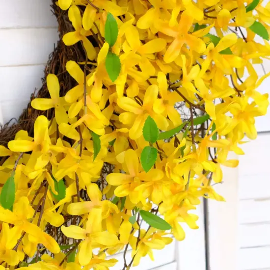 25 Inches Yellow Forsythia Flower Spring Wreath for Front Door {1}