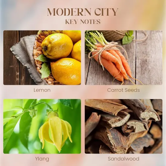 New York City Scent Soy Wax Aesthetic Candle - 10.2 oz | Natural Fragrance for Home& Book Candles | for Housewarming, Hostess Gifts&Home Deor,Thank You Gifts {3}