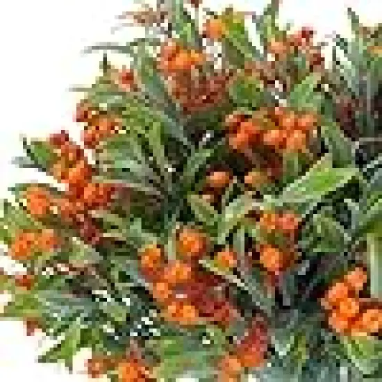 Everlasting Blossoms: 10 Bundles of UV Resistant Artificial Flowers for Outdoor Elegance Orange {2}