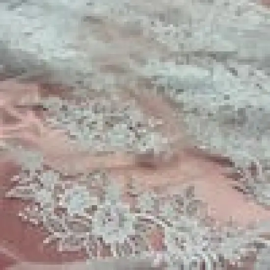 1 Yard White Beaded & Corded Bridal Lace Fabric, Embroidered Polyester Net Mesh, 54" Wide Silver {3}