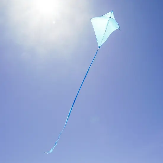 In the Breeze 3294 - Blueberry 30 Inch Diamond Kite - Solid Blue, Fun, Easy Flying Kite {5}