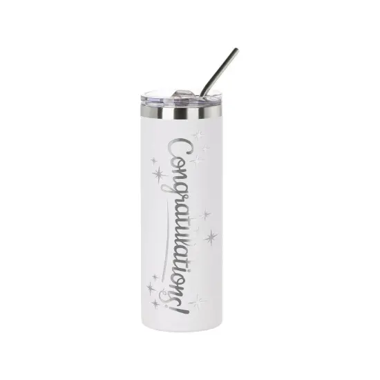 Craft Express 6 Pack Powder Coated Stainless Steel Tumblers with Straw & Lid {5}