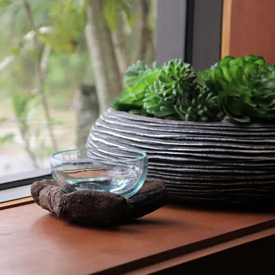 Glass and Teak Driftwood Bowl – 3.25” High Decorative Succulent Centerpiece {7}