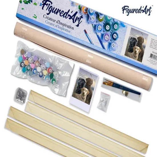 Figured'Art Paint by Numbers Kit for Adults Labrador Trio 16"x20" - Craft Art Painting Rolled Canvas with DIY wooden frame {5}
