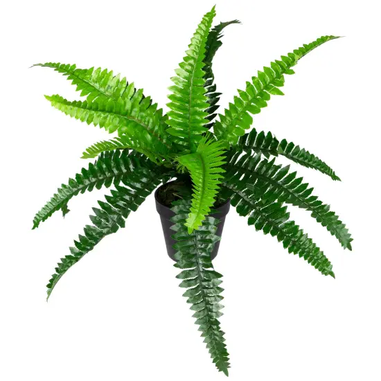 Northlight Potted Artificial Long Green Boston Fern Plant - 15.75" {4}