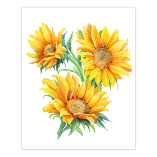 AVS-DME203 | Drawing Made Easy&trade; 26pc 8" x 10" Flowers 4 Project Box Set {3}