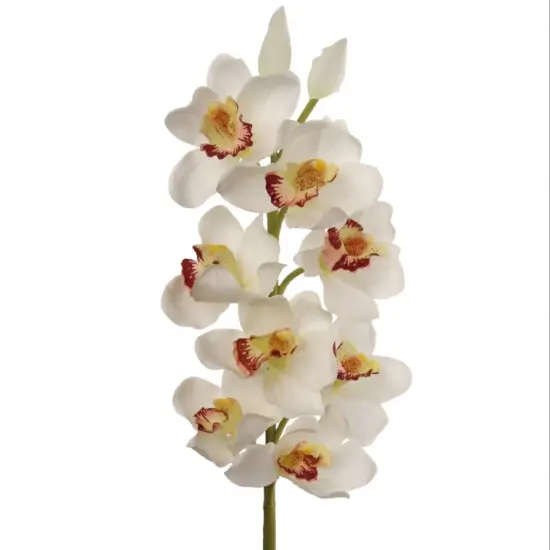 30" Cymbidium Orchid Stem - 3 PACK {3}