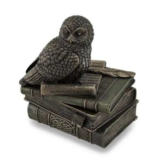 Owl Perched On Stack of Books Bronzed Trinket Box/Stash Box Statue {1}