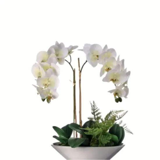 20" Artificial Phalaenopsis Orchid Arrangement | Faux White Orchid in Ceramic Bowl {4}