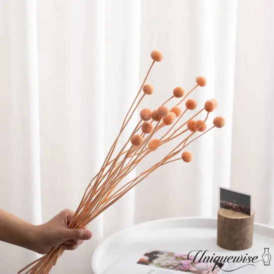 Uniquewise Preserved Real Floral Stems Chic Vase Fillers & Accents for Bouquets Centerpieces & Ornamental Displays Ideal for Home Office Boutique Cafe Resto Bar and Event Decor Orange billy buttons {4}