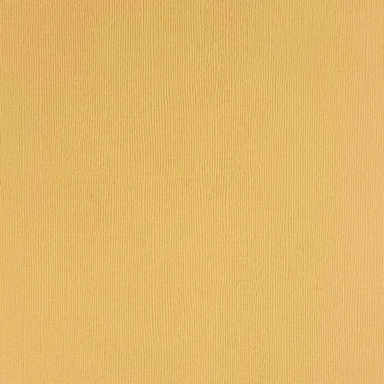DESERT SAND - Textured 12x12 Cardstock - Encore Paper {1}