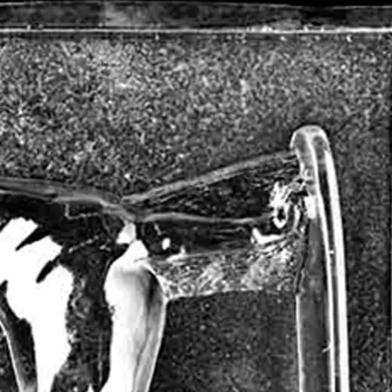 Jumbo Doberman Chocolate Mold {5}