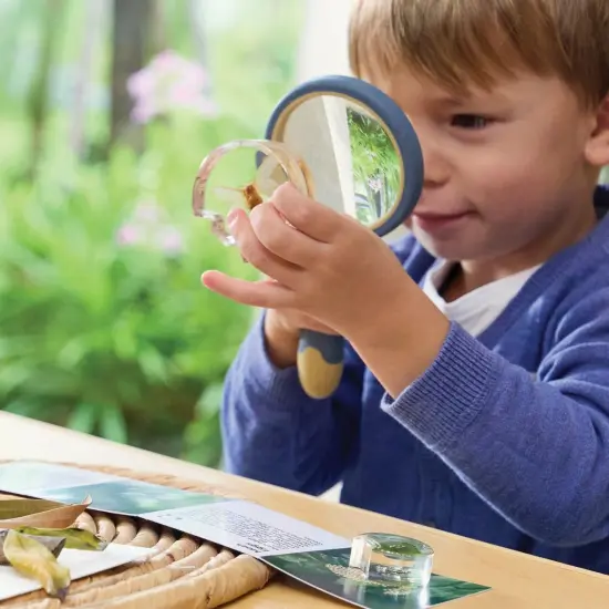 Kaplan Early Learning Company Specimen Life Cycle Puzzles: Moth {5}