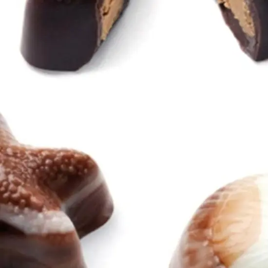 Seashell Continental Chocolate Mold {5}