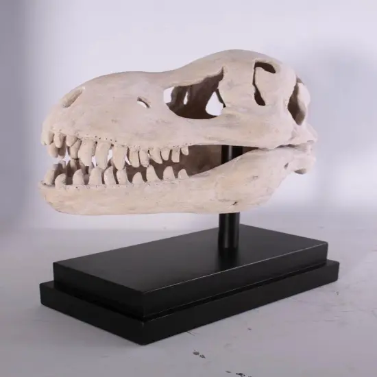 T-Rex Dinosaur Skull Life Size Statue {5}