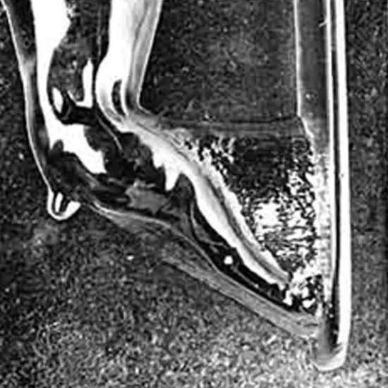 Jumbo Doberman Chocolate Mold {2}