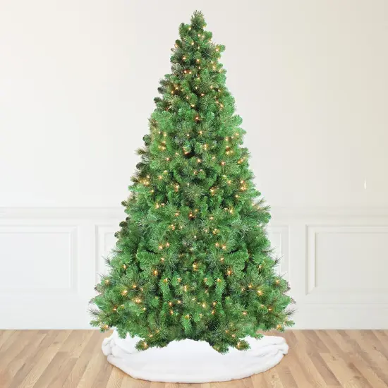 Northlight Pre-Lit Canterbury Spruce with Dew Drops Artificial Christmas Tree - 9' - Clear Lights Green {1}