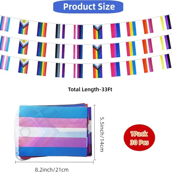 Rainbow Progress Small String Flags, 10 Types Rainbow Pride Pennant Banner Bunting Flags, LGBTQ and Gay Lesbian Pride, intersex, Bisexual, Pansexual, Transgender, Pride Month Outdoor Decorations, 33 Feet 30 Flags (1 Pack) {2}