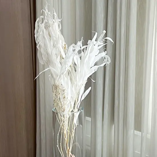 Eucalyptus Exotica Flower {2}