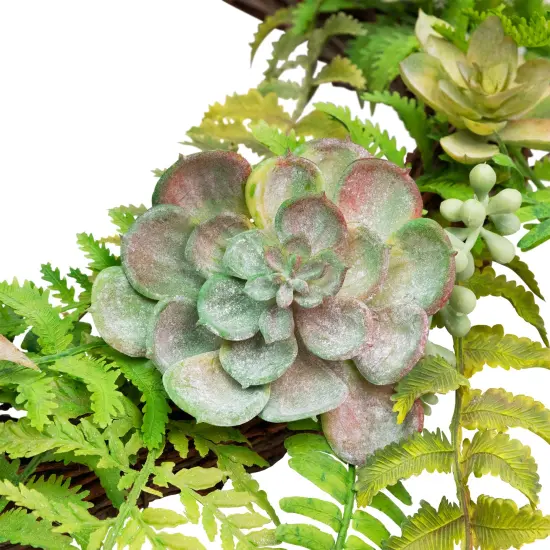 Northlight Succulents and Foliage Artificial Spring Twig Wreath, Green - 22-Inch {6}