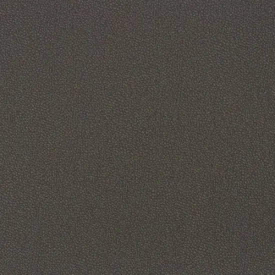 Richloom NUNZIO - Faux Leather Chocolate {1}