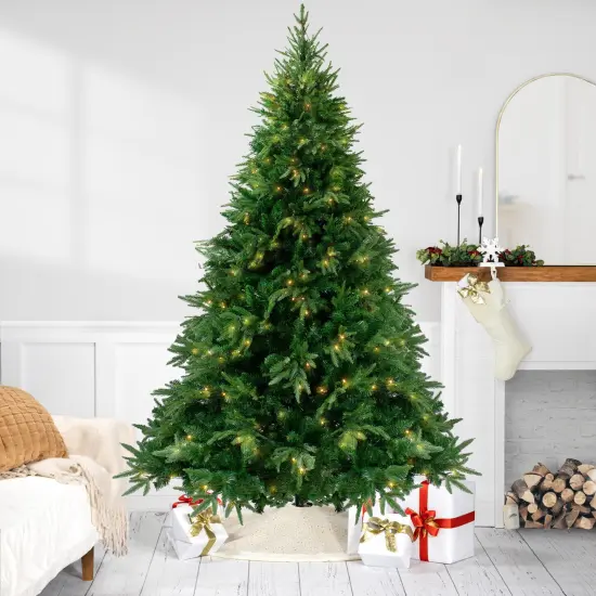 Northlight 7.5' Pre-Lit Full Silverthorne Fir Artificial Christmas Tree - Clear Lights Green {1}