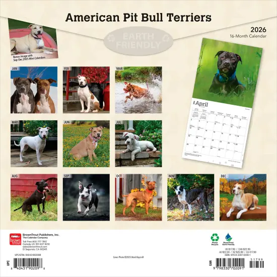American Pit Bull Terriers | 2026 12 x 24 Inch (Hanging) Monthly Square Wall Calendar | Plastic-Free {2}