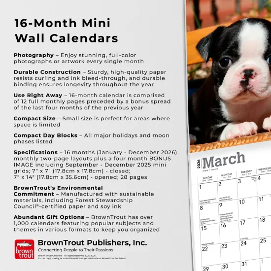 Boston Terrier Puppies | 2026 7 x 14 Inch (Hanging) Monthly Mini Wall Calendar {6}