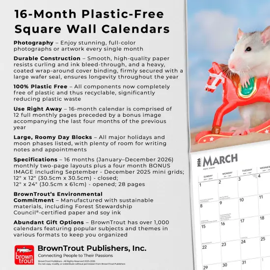 Rats | 2026 12 x 24 Inch (Hanging) Monthly Square Wall Calendar | Plastic-Free {6}