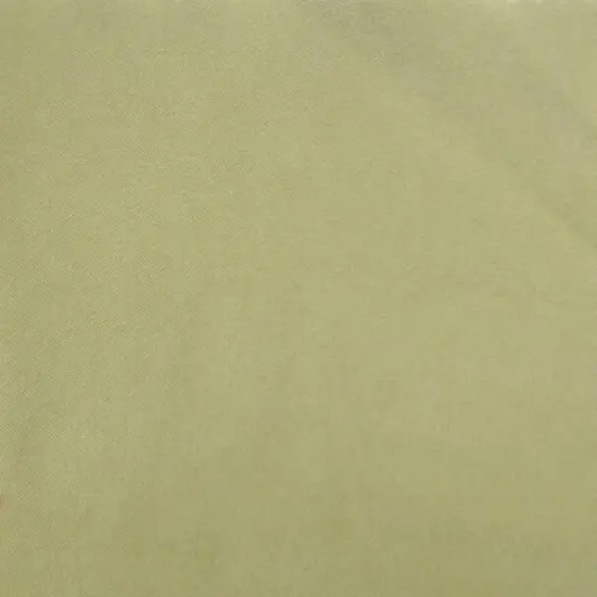 1 Yard Duomo Brushed Fabric Pistachio Color 58/60" Width Soft Polyester Apparel Use {1}