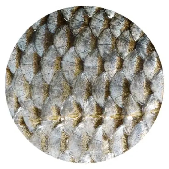 Fish Scales Car Coasters, Ceramic Stone Drinks Coaster Set for Women Man 2.56" (2 Pack) {1}