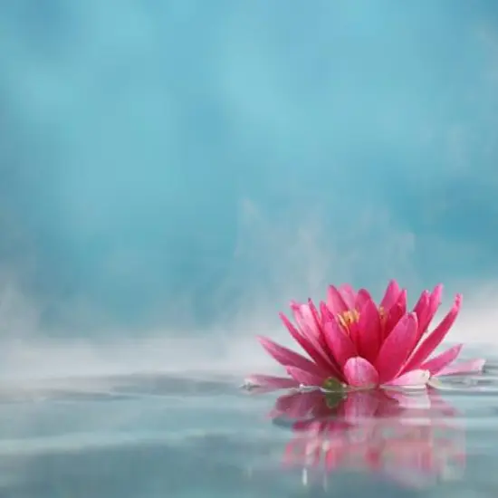 Ozonic - Premium Fragrance Oil {1}