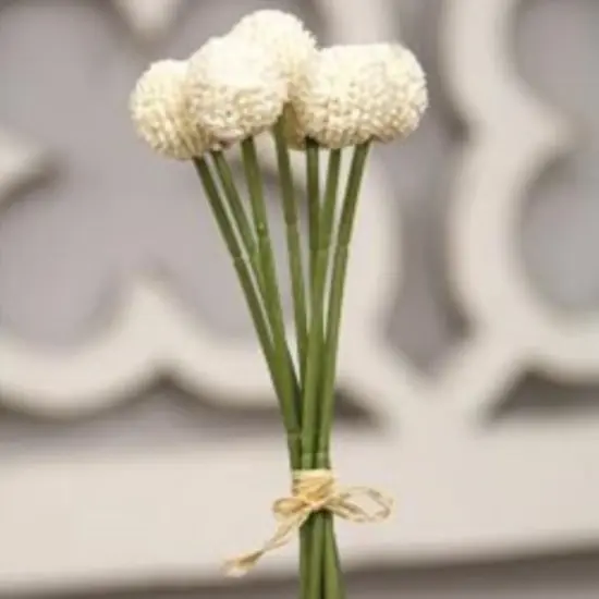 Billy Ball Bouquet White {2}