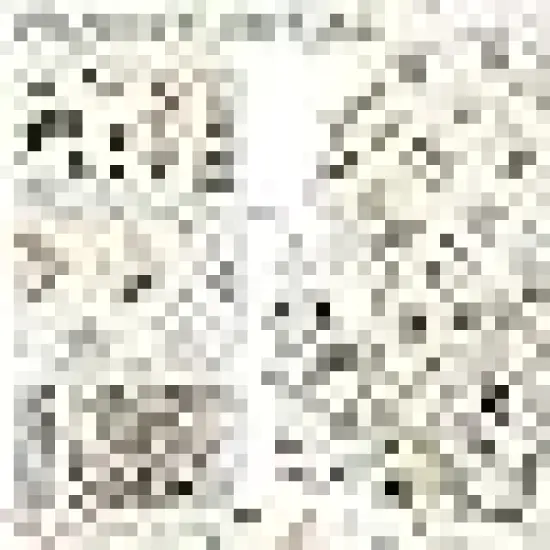 Patchwork Precuts Bundle Multicolor Supplies for Holiday DIY Sewing Craft {2}