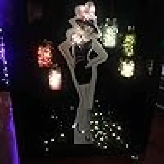 Battery-Operated Led String Lights with Timer {4}