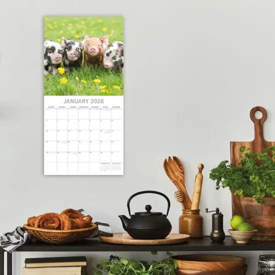 The Gifted Stationary 2026 Square Wall Calendar, Piggies, 16-Month Animals Theme Hanging Calendar with 180 Reminder Stickers, Month Planner for Home, or Creative Spaces, 12x12 In Multicolor {2}