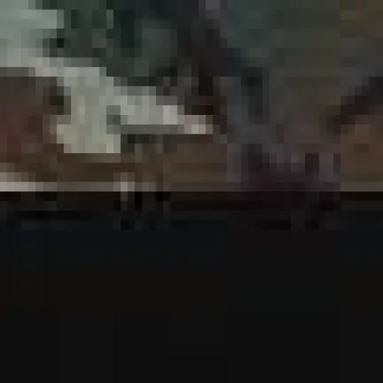 DRI DUCK&reg; Coleman Cuffed Beanie Green Woodland Camo {2}